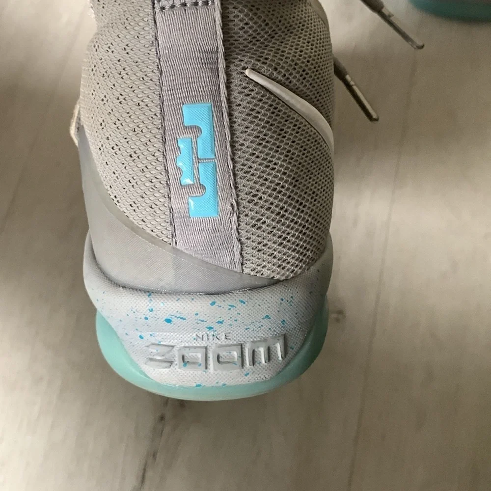 Nike lebron 14